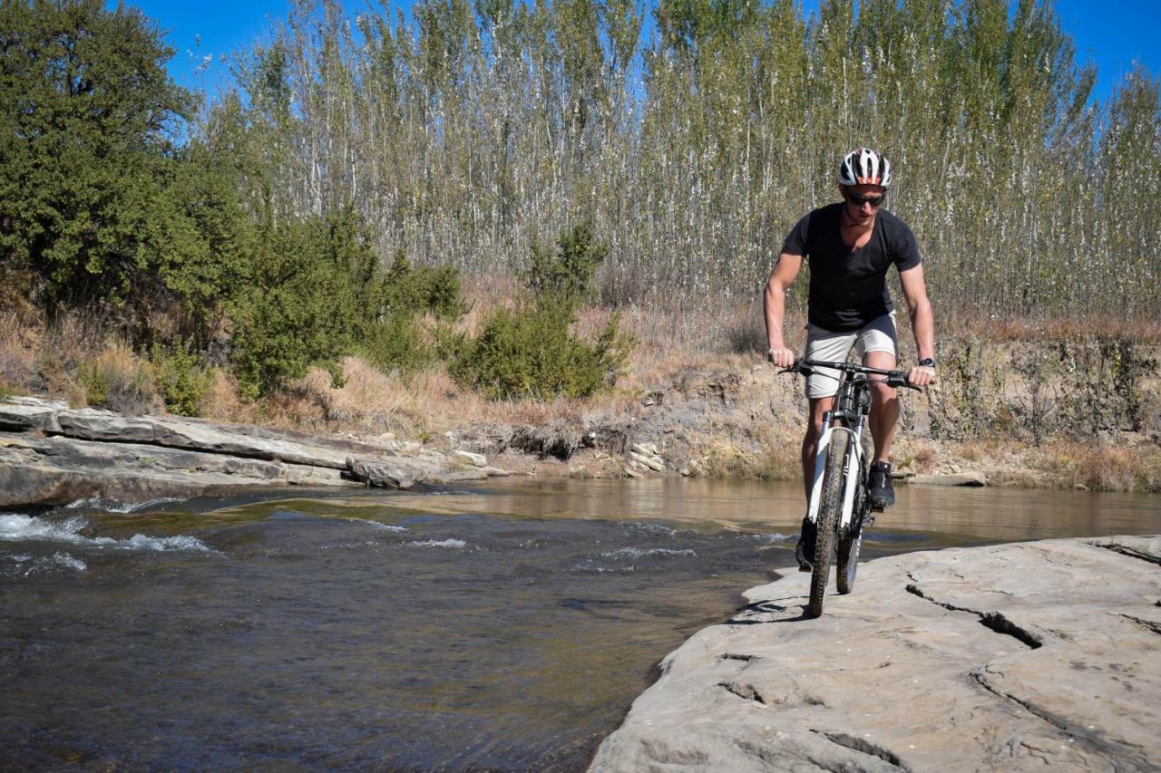 Merino Guest Farm Clarens Ngoại thất bức ảnh